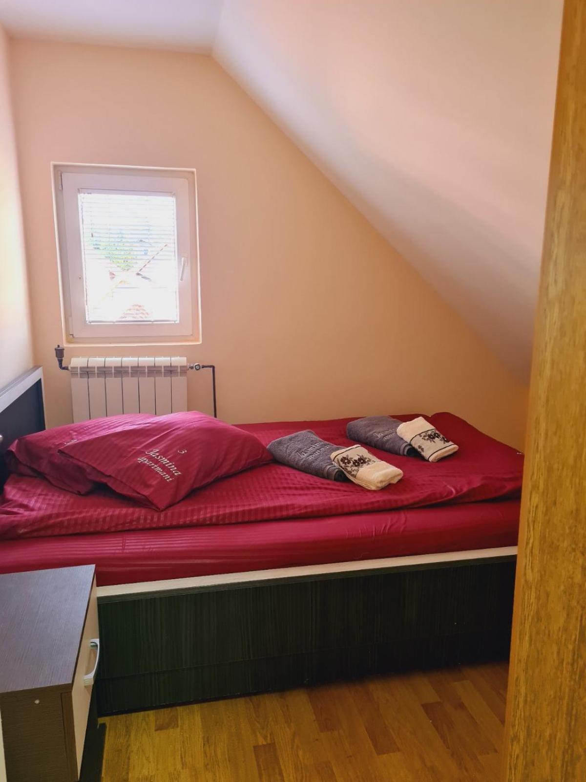Apartmani Jasmina ズラティボール エクステリア 写真