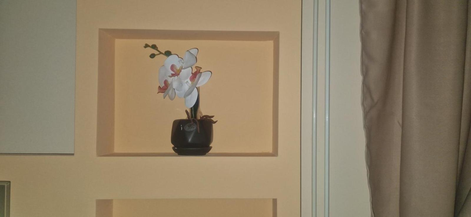 Apartmani Jasmina ズラティボール エクステリア 写真