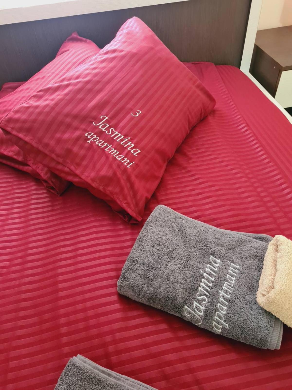 Apartmani Jasmina ズラティボール エクステリア 写真