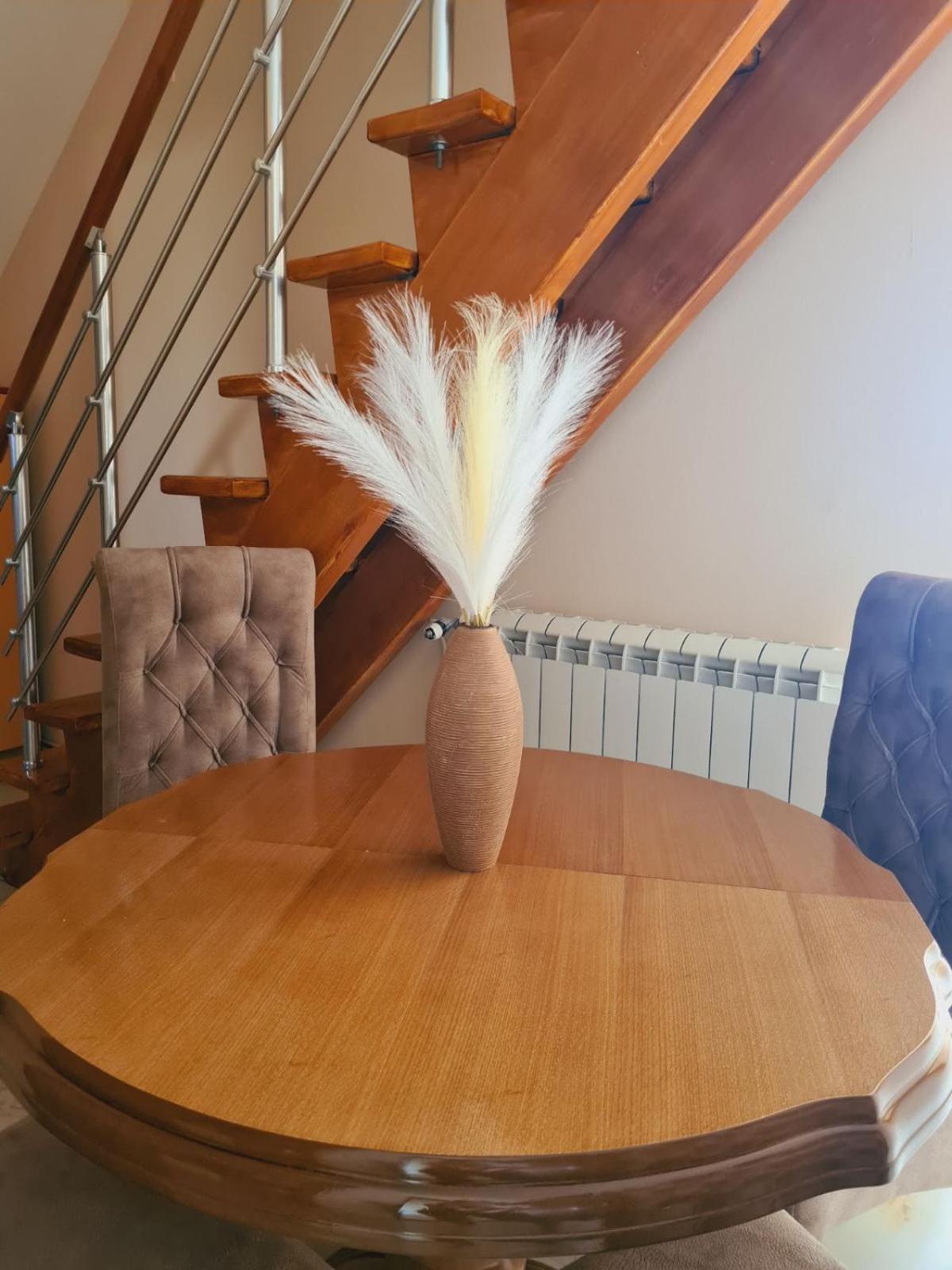 Apartmani Jasmina ズラティボール エクステリア 写真