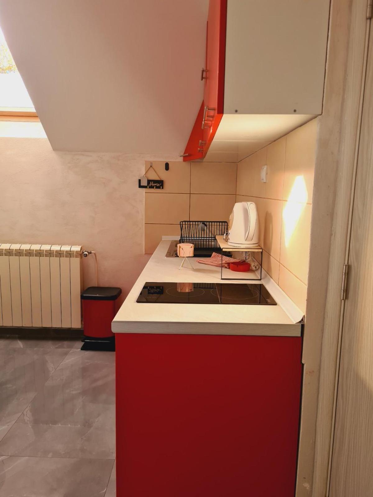 Apartmani Jasmina ズラティボール エクステリア 写真
