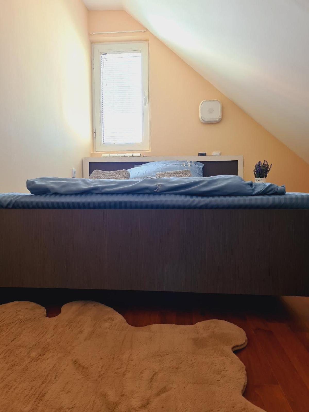 Apartmani Jasmina ズラティボール エクステリア 写真